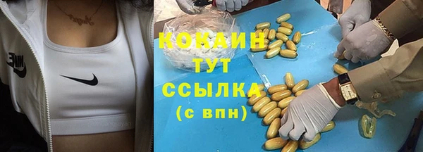 тгк Медвежьегорск