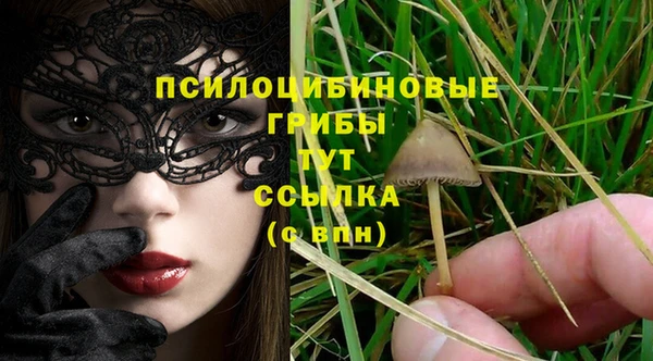 тгк Медвежьегорск