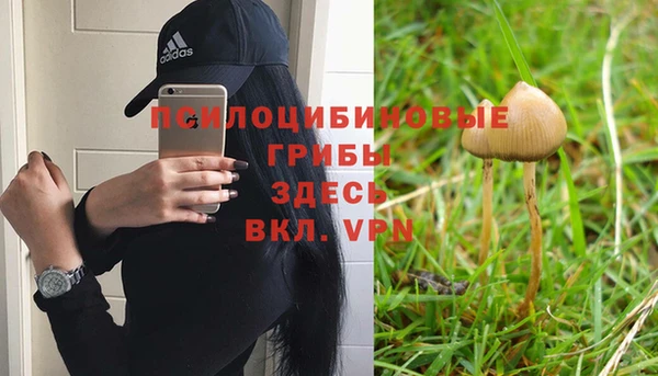 каннабис Дмитров
