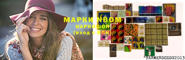 тгк Медвежьегорск