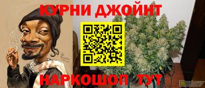 прущие грибы Канаш