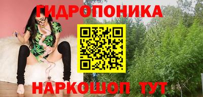 прущие грибы Канаш
