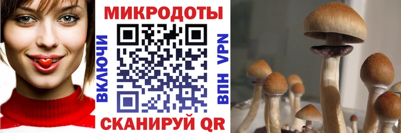 Галлюциногенные грибы Magic Shrooms  где найти наркотики  Дальнереченск 