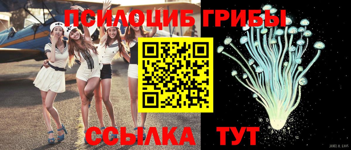 Псилоцибиновые грибы GOLDEN TEACHER  Дальнереченск 