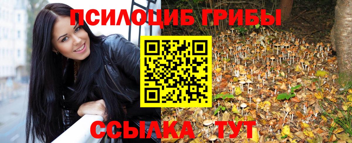 Псилоцибиновые грибы MAGIC MUSHROOMS Дальнереченск